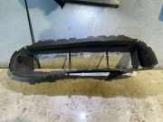 Kühlerluftumlenker FORD PUMA (J2K, CF7) 1.0 EcoBoost mHEV WSSM4D670B1