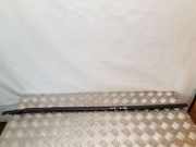 Zier-/Schutzleiste für Türscheibe Citroen C8 (E)