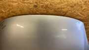 Motorhaube RENAULT GRAND SCÉNIC III (JZ0/1_) 1.9 dCi