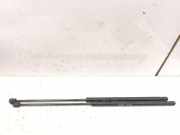 Gasfeder für Motorhaube Mercedes-Benz S-Klasse (W220) A2208800329