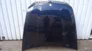 Motorhaube BMW X5 (E70) xDrive 30 d 6917364