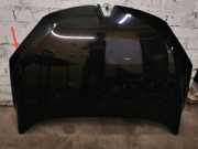 Motorhaube RENAULT MEGANE III Hatchback (BZ0/1_, B3_) 1.6 dCi (BZ00, BZ12)