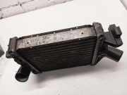 Ladeluftkühler MERCEDES-BENZ VITO Furgon (638) 108 D 2.3 (638.064, 638.068) 2207320001