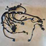 Motor Kabelbaum BMW X4 (G02, F98) M40i 12518588681