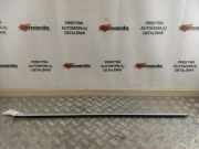 Türverkleidung links hinten VW Tiguan I (5N) 5N0839476D