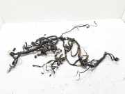 Kabelbaum Renault Koleos I (HY) 24010JY45D