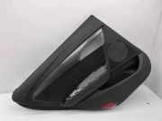 Türpolster hinten links