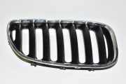 Gitter Grill vorne rechts BMW X5 (E53) 3.0 d 7124816