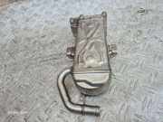 Abgaskühler VW Passat B7 (362) 03L131512DQ