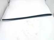 Zierleiste Windschutzscheibe Frontscheibe AUDI A4 (8D2, B5) 2.5 TDI