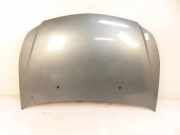 Motorhaube FIAT SEDICI (FY_) 1.9 D Multijet 4x4