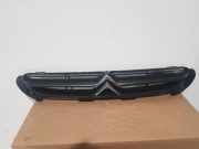 Ziergitter Citroen Saxo (S) 96019