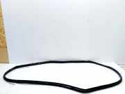 Türgummi links vorne Toyota Auris (E18)