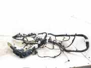SONSTIGE KABELBÄUME RENAULT KOLEOS I (HY_) 2.0 dCi 4x4 (HY0K) 24014JY41B