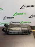 Ladeluftkühler CITROËN BERLINGO Furgon (B9) 1.6 HDi 90 16V 9800291280