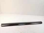 Andere Verkleidungsteile AUDI A8 D3 (4E2, 4E8) 4.2 quattro 4E4867419