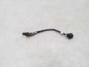 Sauerstoffsensor (Lambdasensor) OPEL ASTRA J 1.4 LPG 55562206