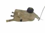 Ausgleichsbehälter RENAULT GRAND SCÉNIC III (JZ0/1_) 1.6 dCi (JZ00, JZ12) 217100005R