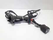 Türverkabelung hinten rechts NISSAN ALMERA II Hatchback (N16) 1.5 24126BM703