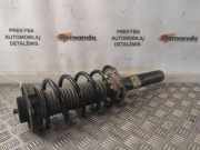 Stoßdämpfer vorne rechts VW PASSAT B7 (362) 2.0 TDI 3AA413031M 824904008629