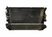 Radiator Pack Set FORD S-MAX 2.0 TDCi 6G918C607GL