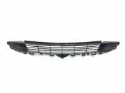 Gitter vorne unten TESLA MODEL 3 EV AWD 108592700C