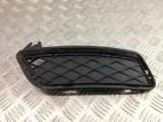 Gitter vorne unten BMW X3 (F25) xDrive 28 i 7210469