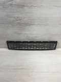 Gitter vorne unten BMW X3 (F25) xDrive 35 i 8048097