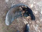 Radhaus rechts hinten Volvo V60 I (155) 31333253