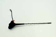 Antenne Dach Nissan Micra V (K14)