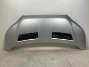 Motorhaube FORD TRANSIT 2.0 TDCi 2485550
