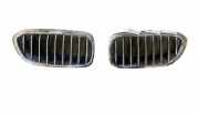 Gitter Grill vorne links BMW 5 (G30) 530 i BE38713