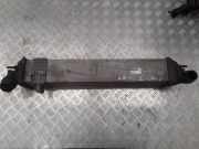 Ladeluftkühler Renault Laguna Coupe (T) 144960001