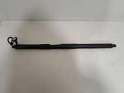 Heckklappe Gasdruckfeder links BMW X6(G06) (G06, F96) xDrive 40 i 5A1DEC5
