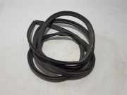 Türdichtung Mercedes-Benz Citan Kasten (W415) A4207411000