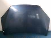 Motorhaube Ford Focus II Cabriolet (DB3)