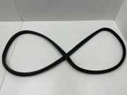 Türgummi rechts vorne Citroen DS5 ()