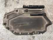 Hinterer mittlerer unterer Schutz BMW X6 (F16, F86) M 50 d 7325391 10834110