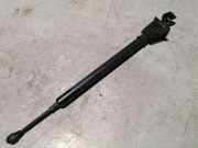 Türanschlag hinten links PORSCHE PANAMERA (970) 3.0 D 97053615100