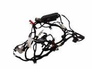 Türverkabelung hinten rechts AUDI A8 D3 (4E2, 4E8) 4.0 TDI quattro 4E1971693C 4E5971693D