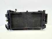 Radiator Pack Set NISSAN LEAF (ZE1) Electric 21496-3NL1B