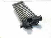 Ladeluftkühler FORD GRAND C-MAX (DXA/CB7, DXA/CEU) 1.6 TDCi 8V619L440CE