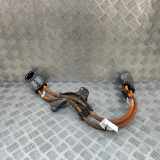 Kabelbaum BMW iX2 xDrive 30 5A1CA66 5A1CA67