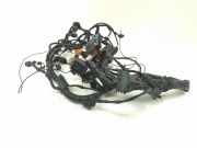 Motor Kabelbaum AUDI A4 Allroad (8KH, B8) 2.0 TDI quattro 8K1971072AB