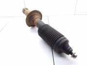 Stoßdämpfer hinten rechts