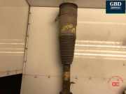 Gasdruckfeder Tesla Model S (5YJS) 600635100C