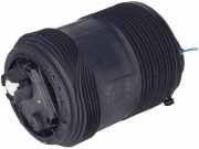 Schraubenfeder hinten links