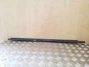 Zier-/Schutzleiste für Türscheibe Kia Soul II (PS)