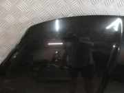 Motorhaube Fiat 500X (334)