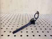 Antenne Dach Nissan X-Trail II (T31)